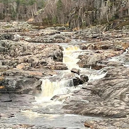 6 Person In Ferienhaus