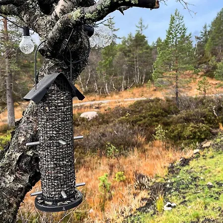 Ferienhaus 6 Person In Tjorhom